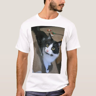 Camisa de gato-do-gato-bonito