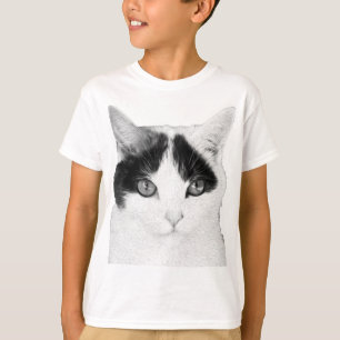Camisa de Gato legal