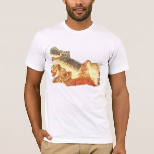 Camisa de Matrícula da Parede do Excelente