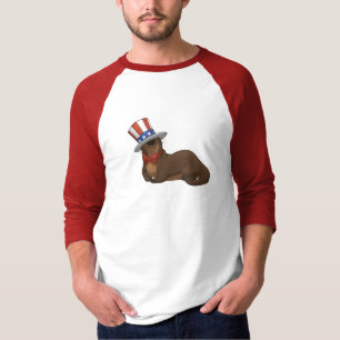 Camisa de Patriotter