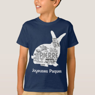 Camisa de Pierre Lapin T