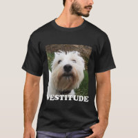 Camisa De Ponta