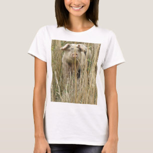 Camisa de Porco Bonita
