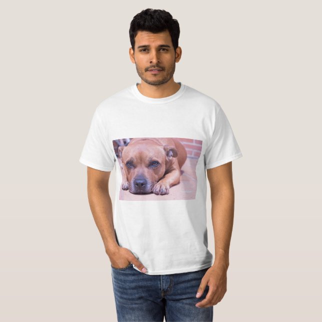 Camisa de Staffy (Frente Completa)