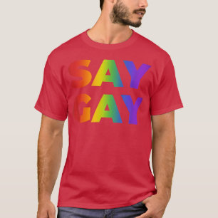 Camisa Diz Gay Flórida Orgulho LGBTQ Direitos Gay