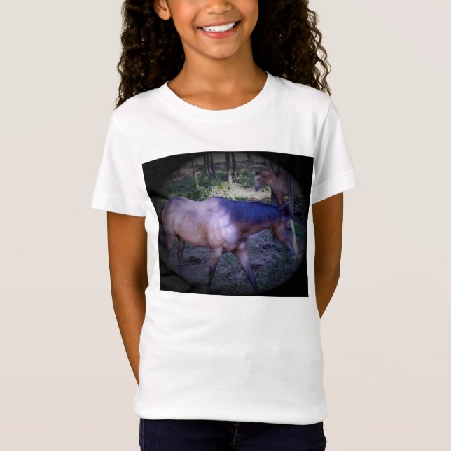 Camisa do Cavalo 2 (Frente)