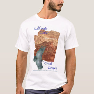 Camisa do Condor T