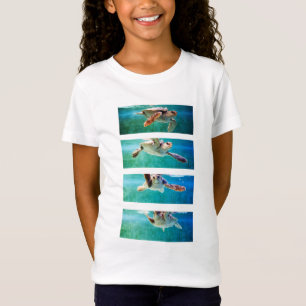 Camisa do estudo da tartaruga de mar da boba