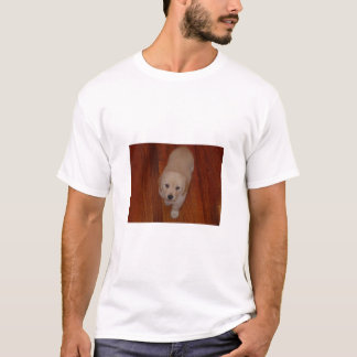 Camisa do filhote de cachorro