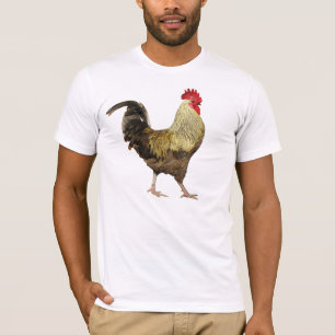 Camisa do Galo-UM-Doodle-Doo