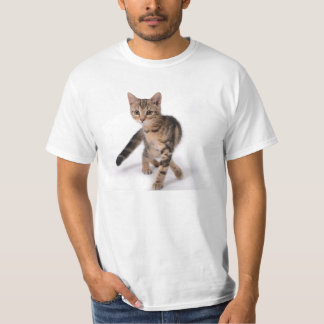 Camisa do gatinho