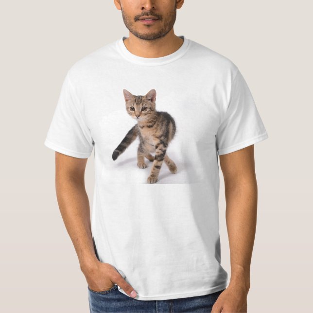 Camisa do gatinho (Frente)