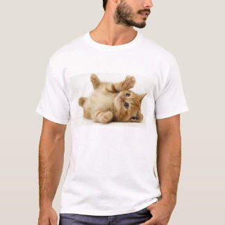 Camisa do gato