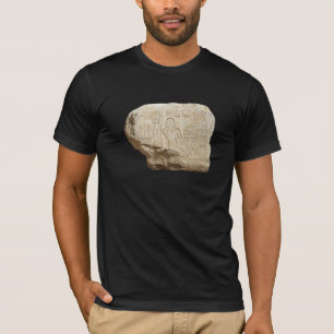 Camisa do hieróglifo egípcio - escolha estilo e co