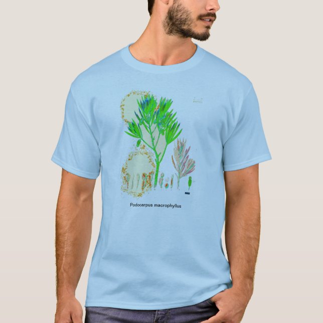 Camisa do impressão do Podocarpus do CYCAD (Frente)