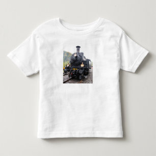 Camisa do motor de vapor
