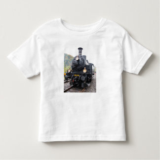 Camisa do motor de vapor
