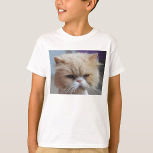 Camisa do persa do purr-fect