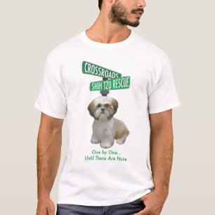 Camisa do poder super de CSTR