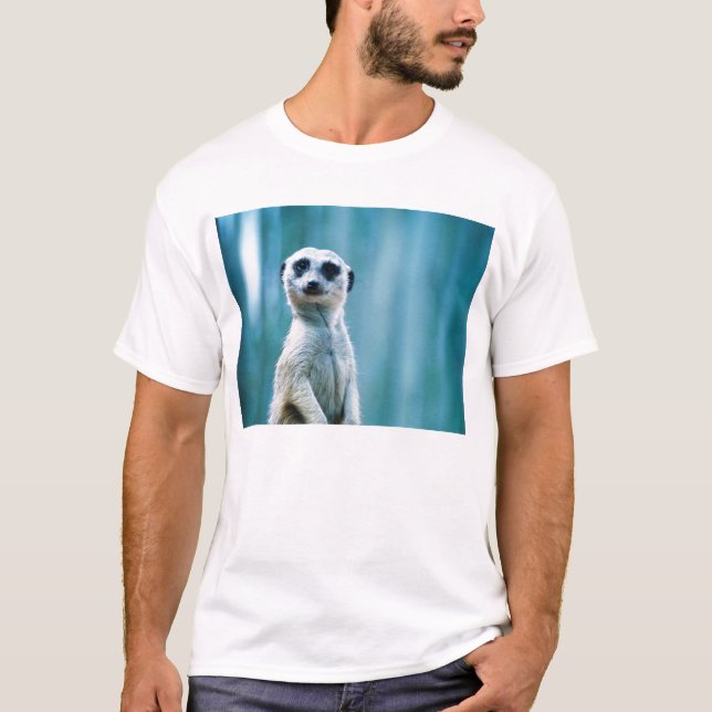 Camisa do Staredown T de Meerkat (Frente)
