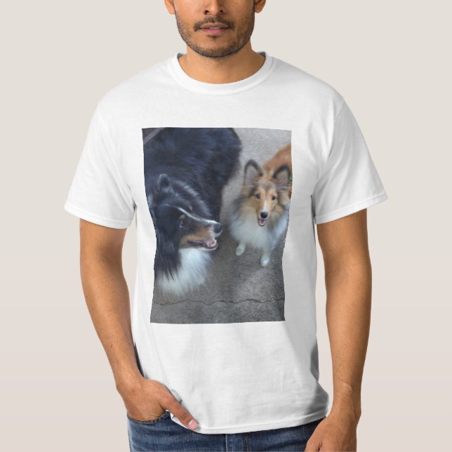 Camisa dos amigos T de Sheltie (Frente)