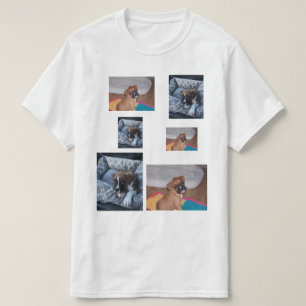 camisa dos filhotes de cachorro