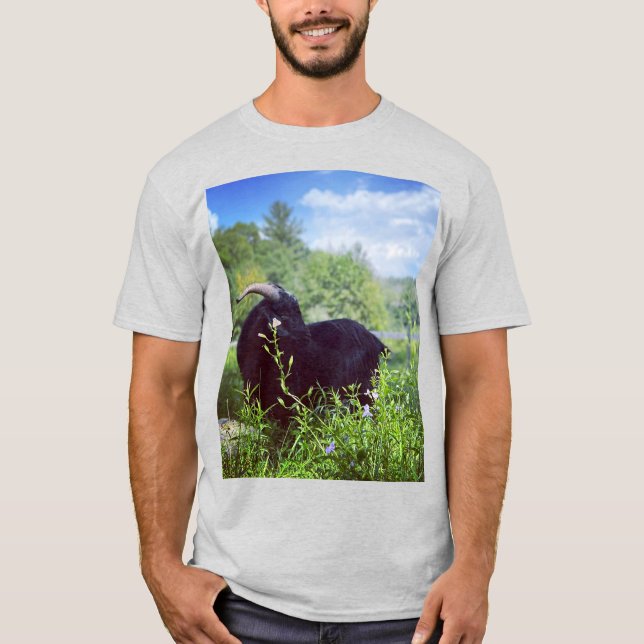 Camisa Estampada Beethoven (Frente)