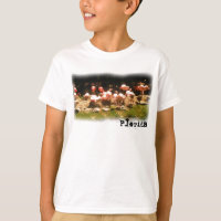 Camisa flamingo da Flórida