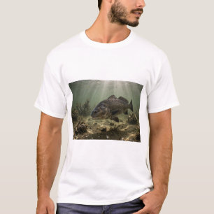 Camisa Florida Man Black Drum Bay Oyster Bar Fish