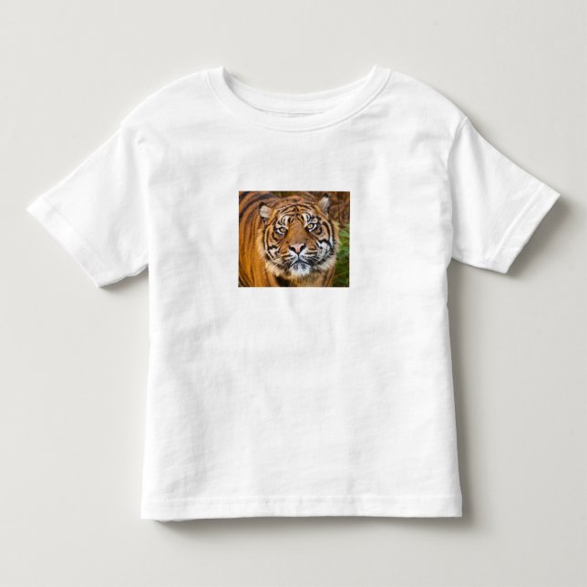 Camisa Infantil de Bebê com Foto de Tigre Selvagem (Frente)