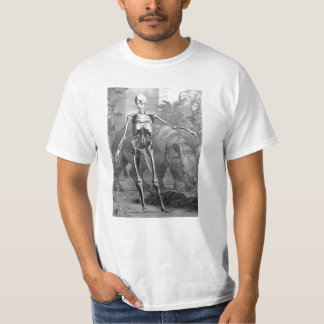 Camisa lunática da anatomia