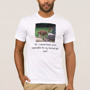 camisa má do corte de cabelo