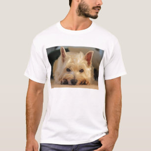 Camisa ocidental bonito do cão T de Terrier das