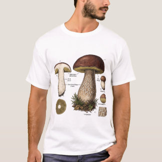 Camisa Porcini Mushroom Botanical Vintage Chart &