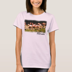 Camisa rosa flamingo da Flórida