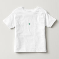 Camisa T