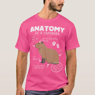 Camisa T