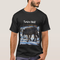 Camisa T