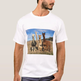 Camisa T - Alpacas Phaethon, Cevada e Marvin