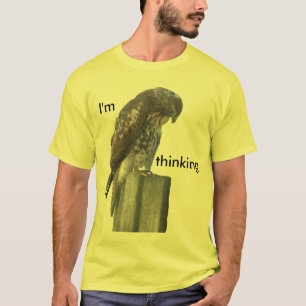 Camisa T - Falcão