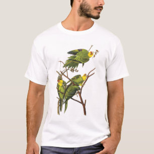 Camisa T: periquitos - de John Audubon