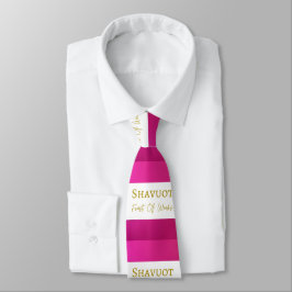 Camisa Terno Gravata Acessório Shavuot Festa das S
