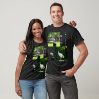 Camisa Unisex De Galinhas caixas (Ibis)