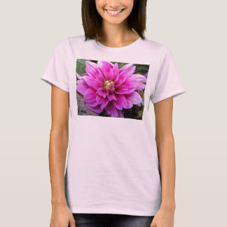 Camisas