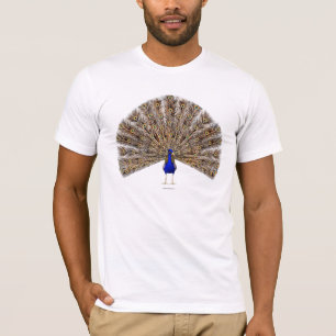 Camisas de Peacock Blue Men