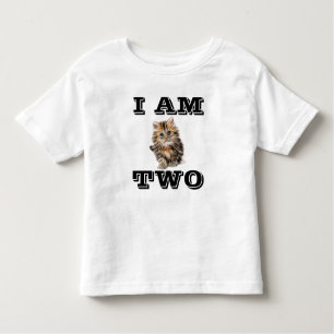 CAMISAS T-SHIRTS DE GATO DE 2 ANOS