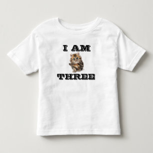 CAMISAS T-SHIRTS DE GATO DE 3 (TRÊS) IDADE