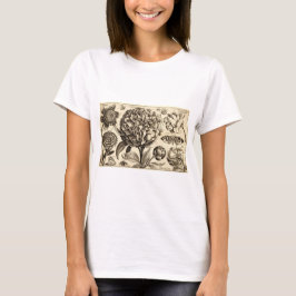 Camiseiros Hollar Peony T-Shirt
