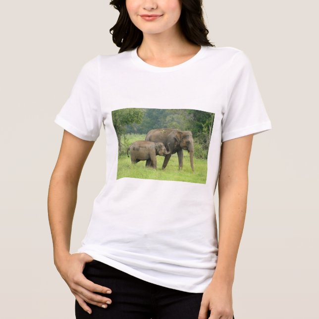 Camiseta (Frente)