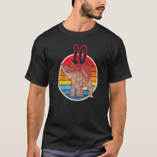 Camiseta 10º Aniversário I Stegosaurus Stenops I Family Mat
